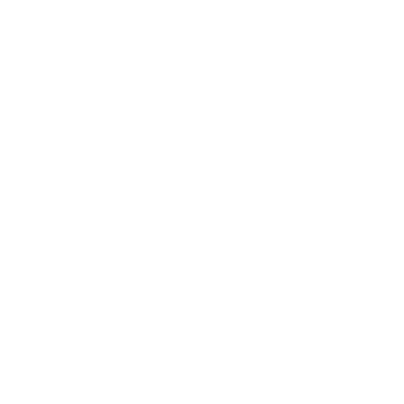 SNOM SITE